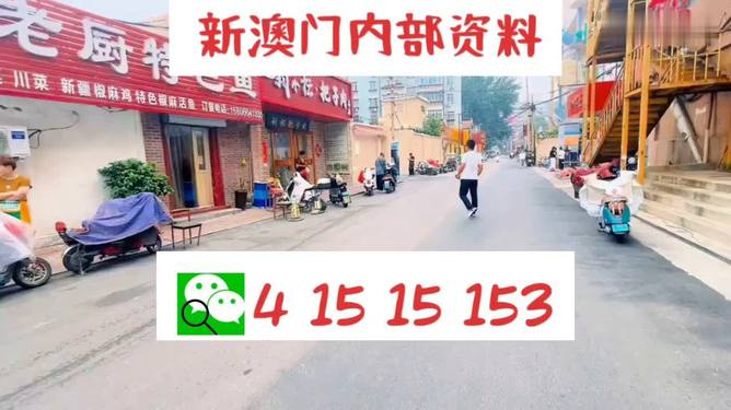 ＂2024澳门天天开好彩资料？＂的：全面信息解释定义_时空版3.12