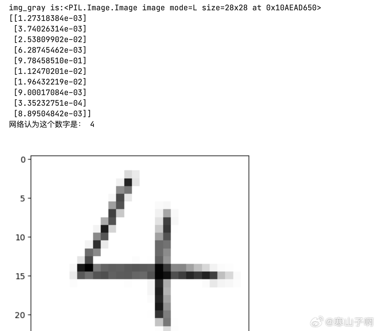 ＂一肖一码一一肖一子＂的：实地观察数据设计_简易版5.2