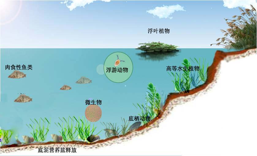 ＂新澳今天最新免费资料＂的：全身心解答具体_生态版3.75