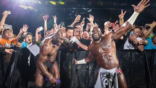 ＂澳彩资料免费的资料大全wwe＂的：全方位数据解析表述_生态版1.11