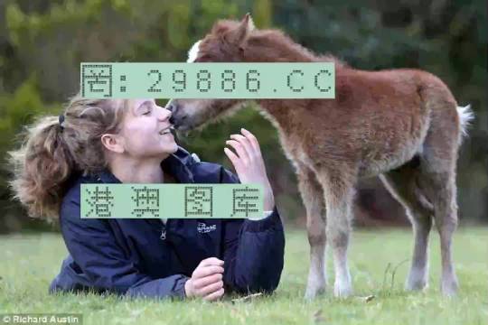＂澳门一肖一码一一子中特＂的：风景园林_高效版3.83