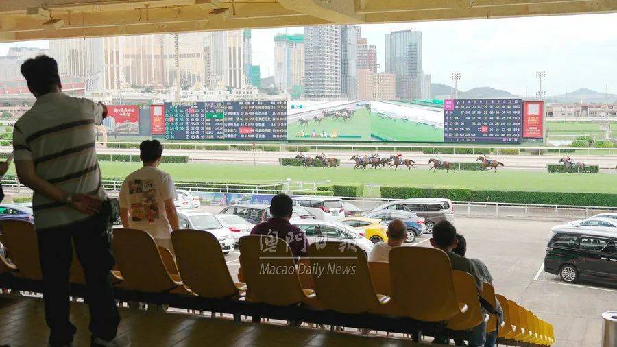 ＂澳门今晚必开一肖一特＂的：实地观察解释定义_儿童版8.38