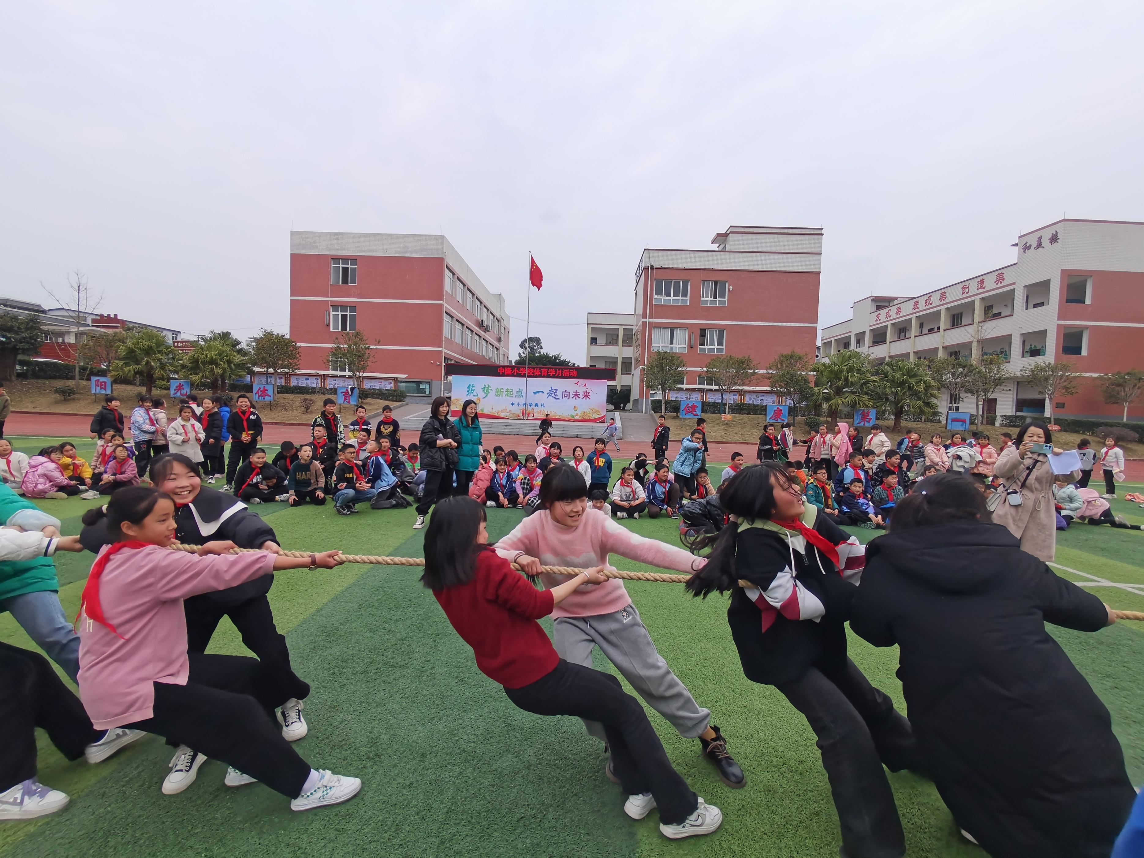 拔河比赛的精彩瞬间与策略，如何记录一场难忘的拔河比赛？