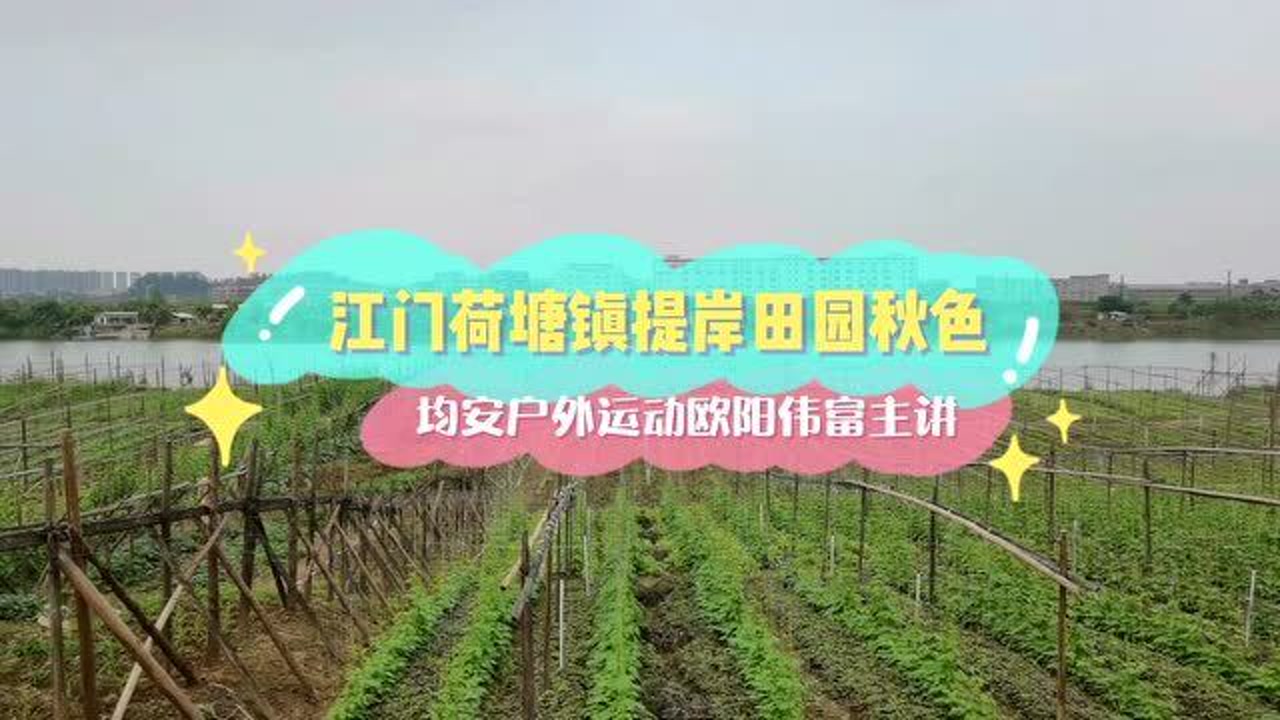 江门荷塘招聘信息，开启职场新篇章，引领人生新起点