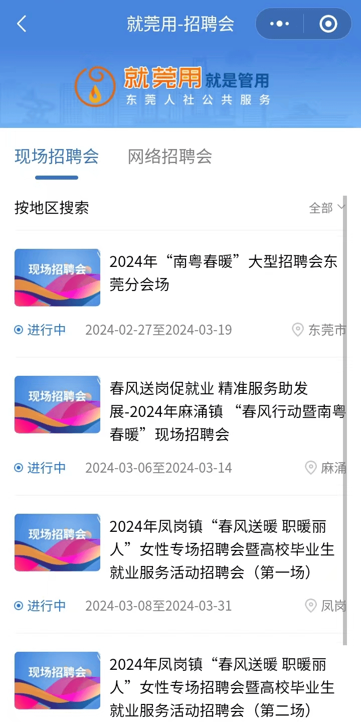 最新鲁麦资讯概览