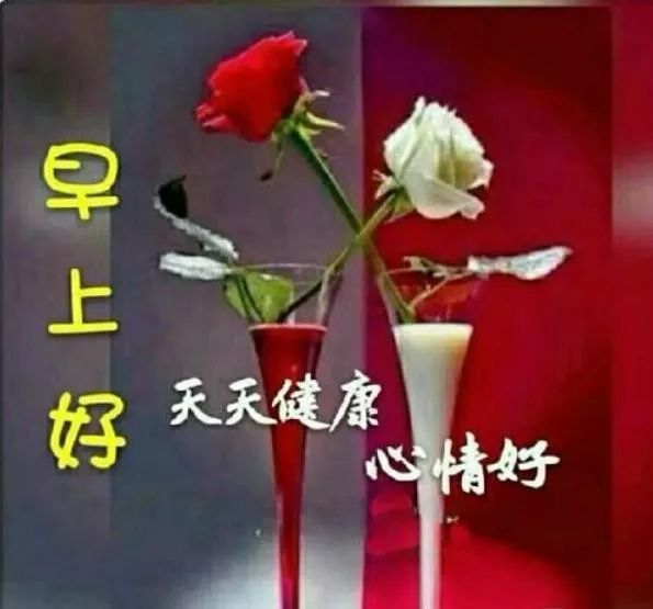“新版问候语”,新版问候语，重塑我们日常的交流礼仪