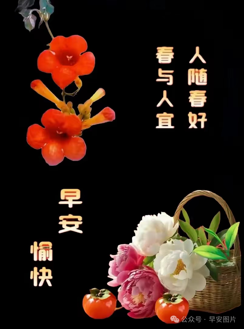 “新版问候语”,新版问候语，重塑我们日常的交流礼仪