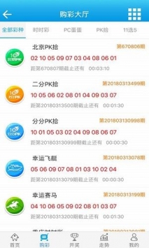 2024年新澳门王中王,担保计划执行法策略_增强版15.581