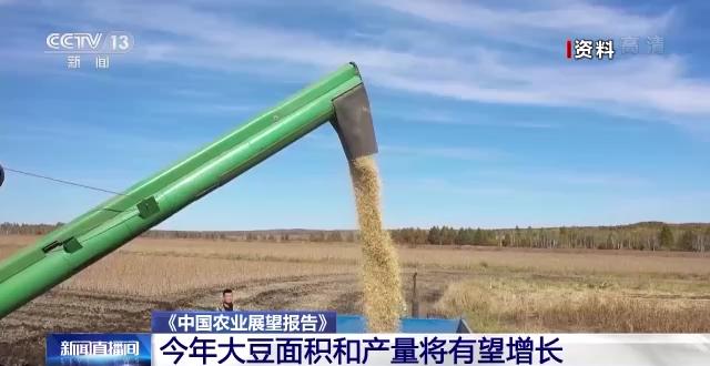 国产大豆现货价格，与自然美景的邂逅之旅