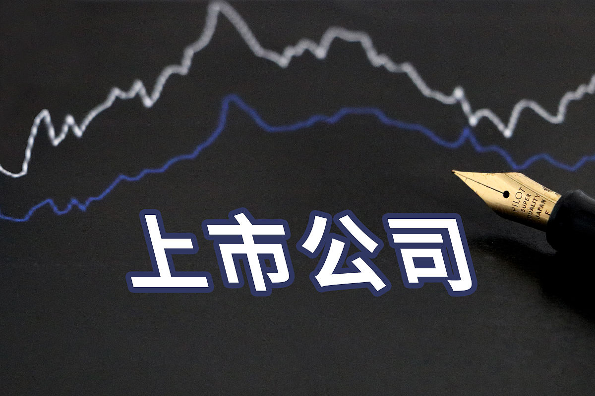 公司上市，辉煌之旅，迈向资本市场的胜利征程