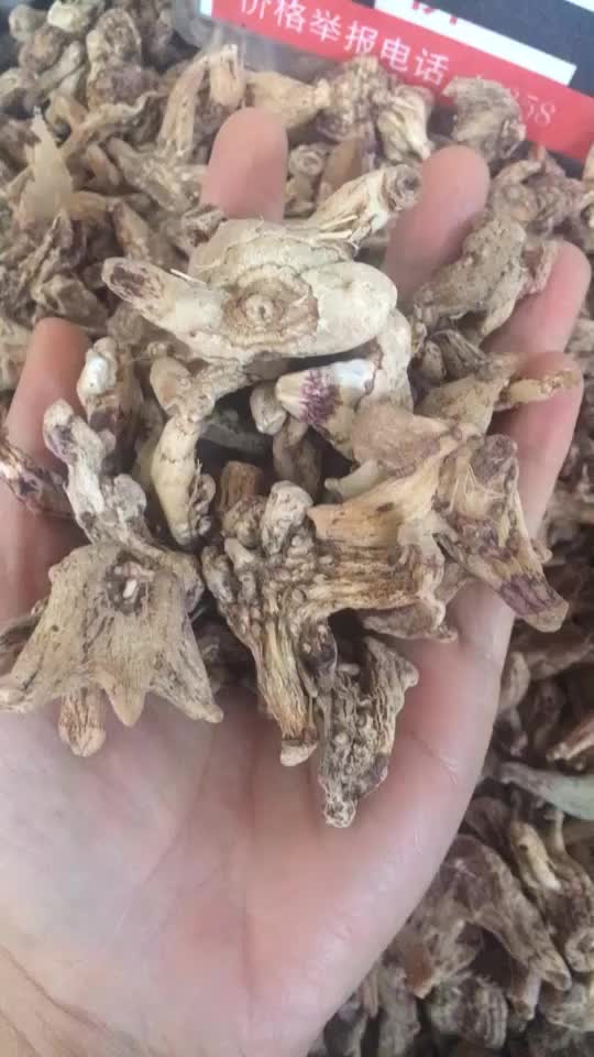 白芨价格行情及深度分析