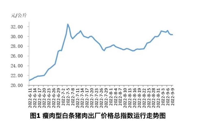 市场肉类价格行情解析，如何应对价格变化详解
