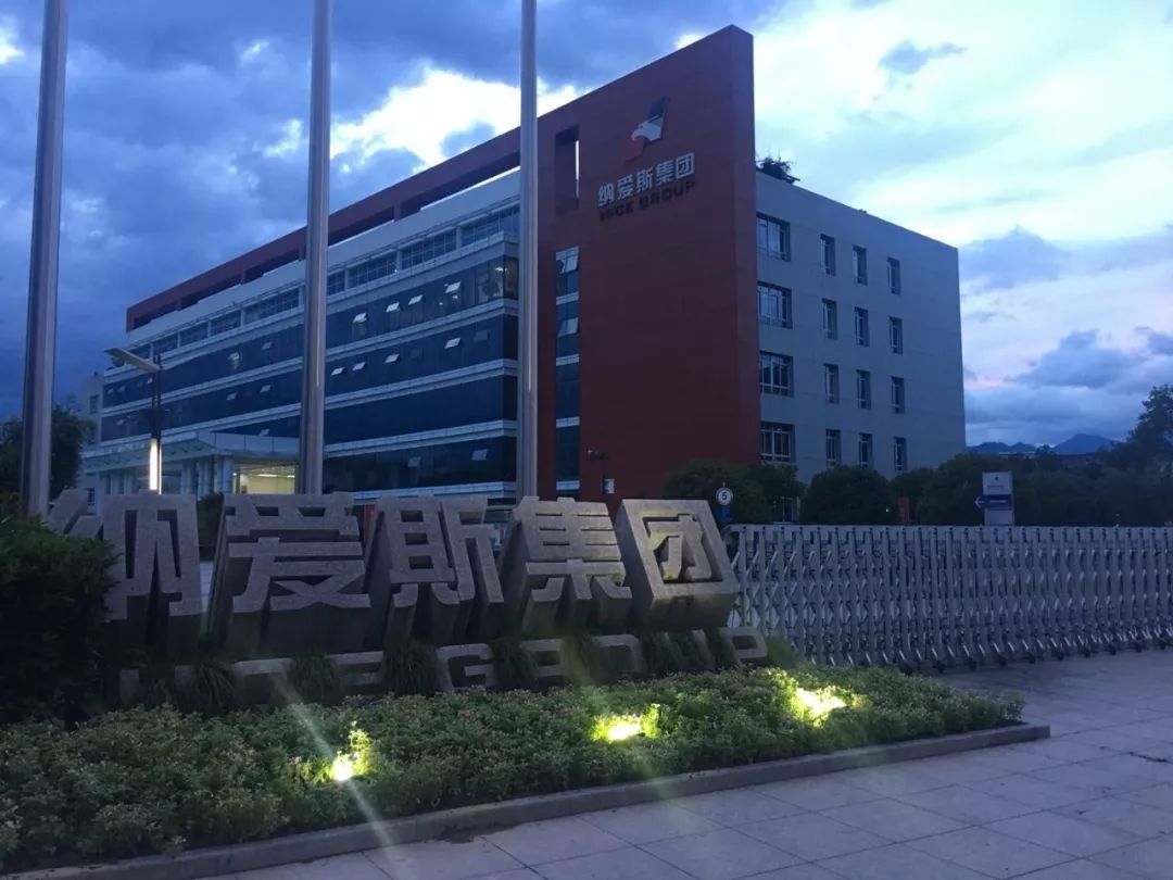 纳爱斯，低调高科技巨头的上市之谜与深度解析