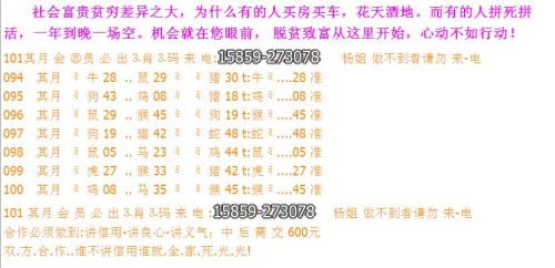 2024澳门今天晚上开什么生肖啊,实地验证实施_交互版63.252