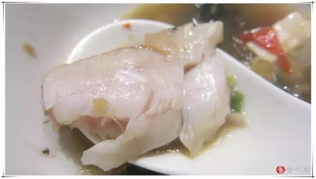 彭厨新菜推荐，小巷美食秘境的探索之旅