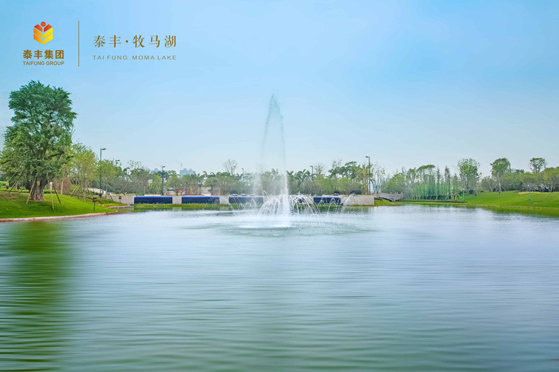 泰丰牧马湖最新动态揭秘，全面了解和参与的综合指南