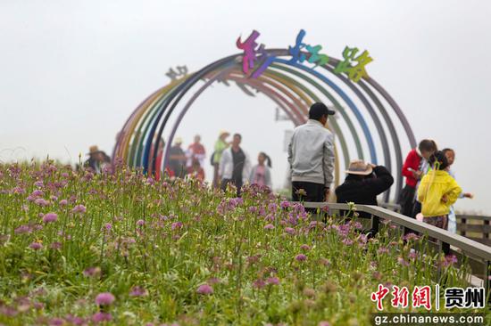 韭菜坪资讯，攀登知识高峰的奇妙旅程，自信与成就感的汇聚地