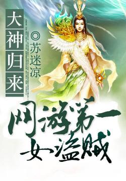 女盗最新章节,女盗最新章节，探寻故事中的魅力与启示
