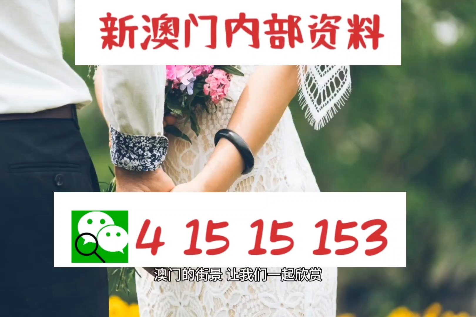 新澳精准资料免费提供219期,实地观察数据设计_云端版18.583