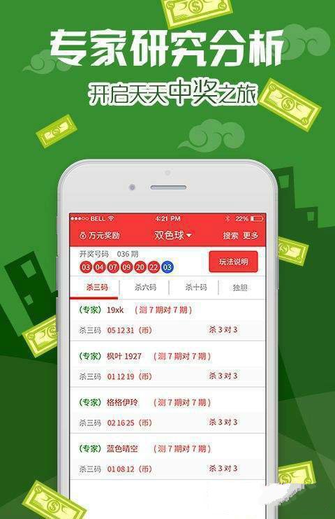 新澳资彩长期免费资料王中王,稳固计划实施_美学版49.621