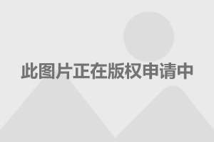 神犬小七演员表,神犬小七演员表，深度解析角色与演员的魅力