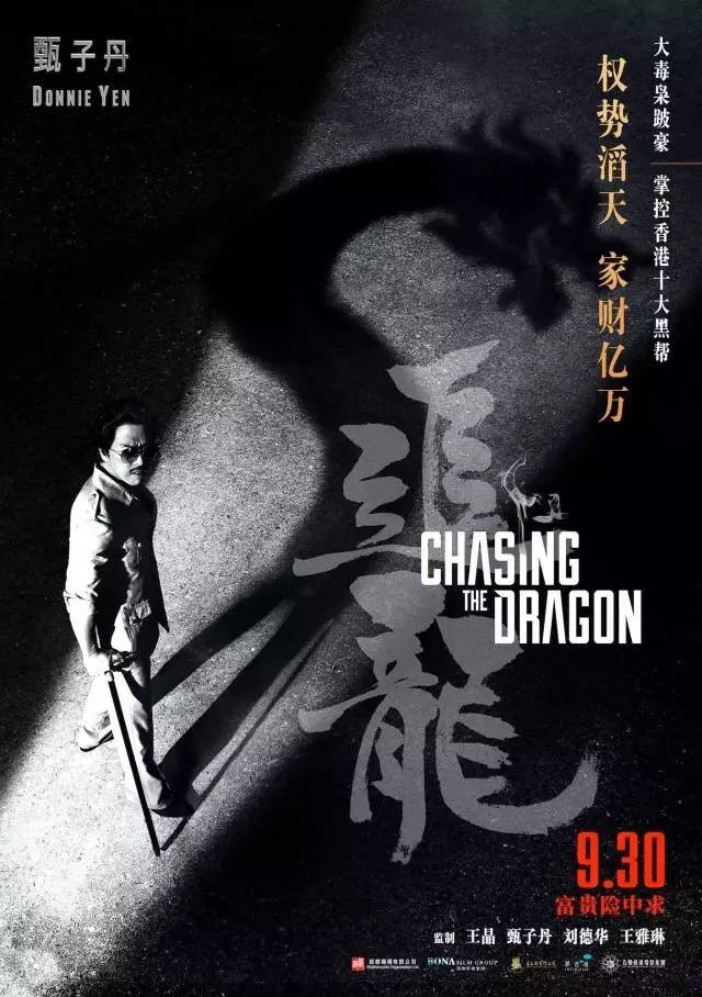 电影追龙，传奇人物的深刻解读与致敬