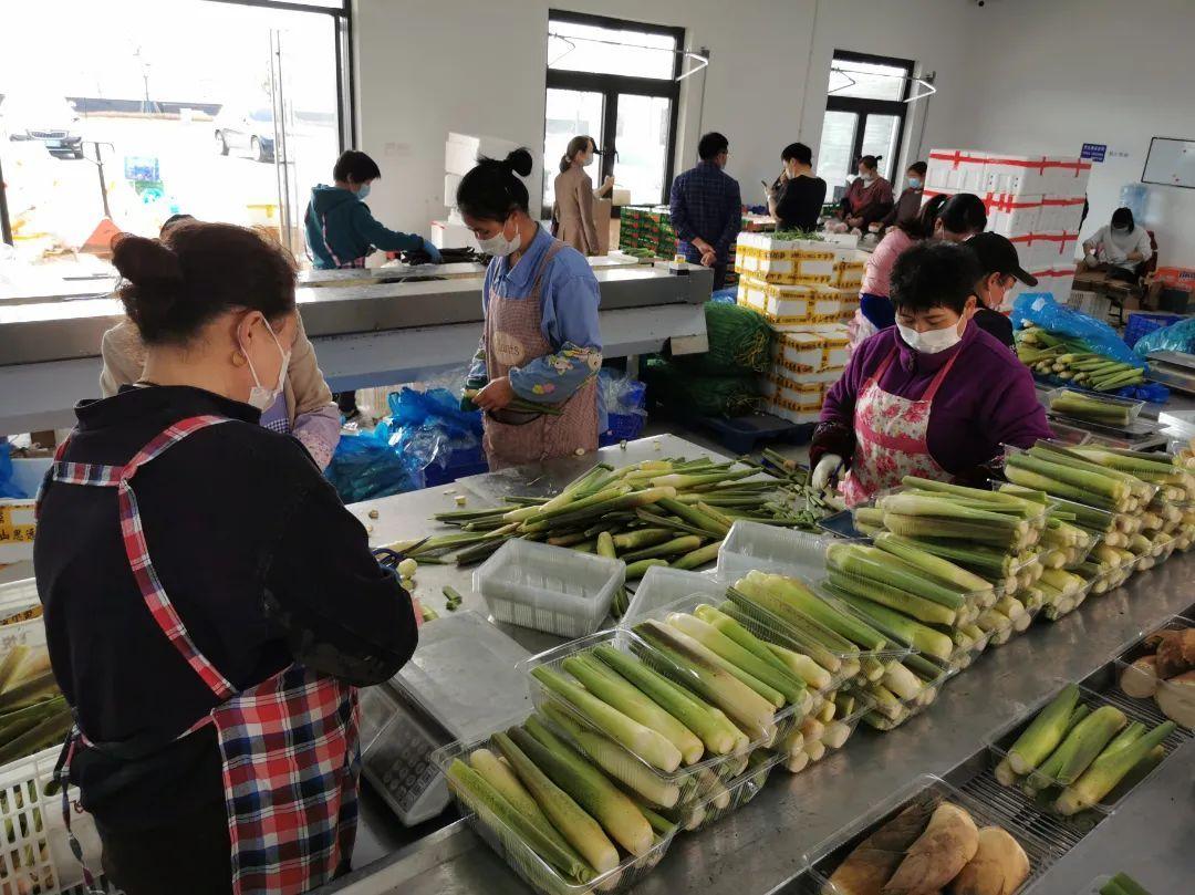 上海江阳市场最新资讯,上海江阳市场最新资讯获取指南