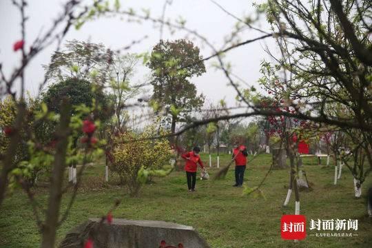 上海江阳市场最新资讯,上海江阳市场最新资讯获取指南