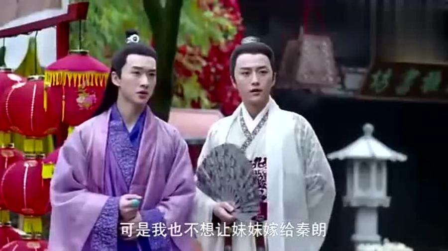 苏染染追夫记深度解析与免费观看指南