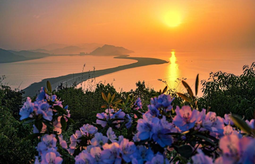 滨海旅游区最新动态揭秘，自然美景探索与内心平静之旅