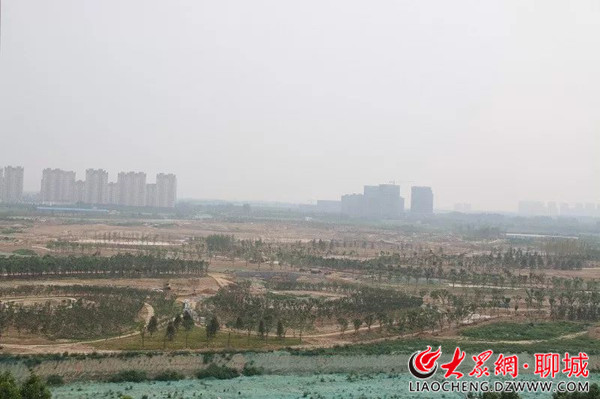 聊城九州洼最新动态，多维视角下的城市发展与未来展望