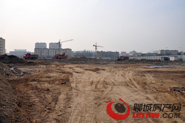 聊城九州洼最新动态，多维视角下的城市发展与未来展望