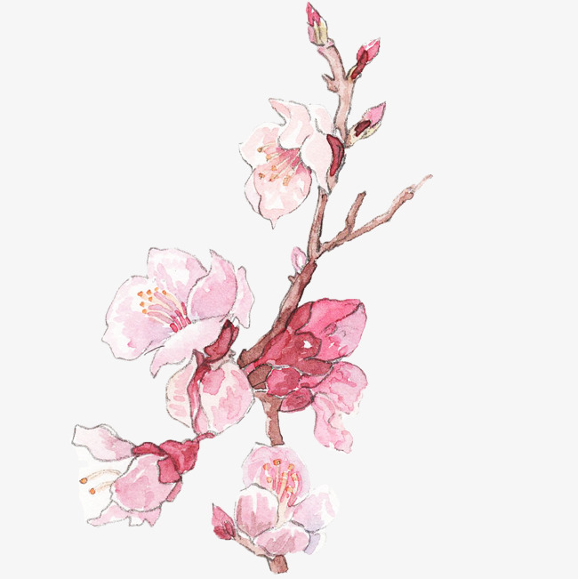动漫桃花,动漫桃花，绚烂虚拟世界的魅力绽放