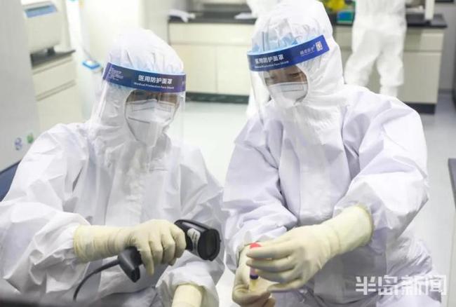 绿母实验最新详细步骤指南与操作手册