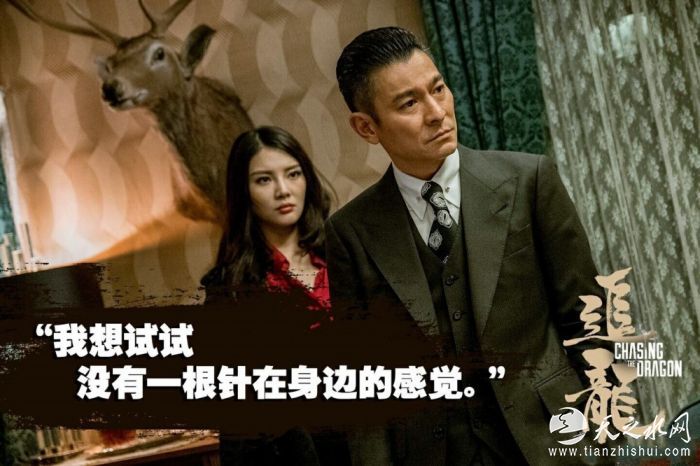 经典港片电影的璀璨明珠，深度回顾与赏析