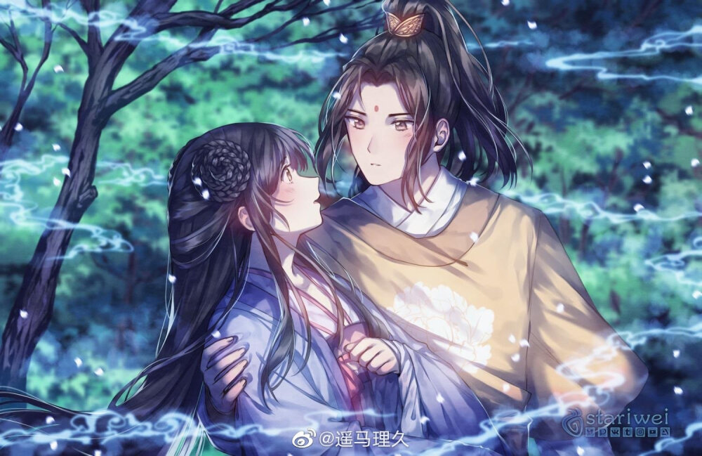 师姐佳作新篇章，多维度视角下的文学创作探析