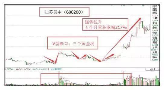 江苏吴中股票行情深度解析，投资前景展望