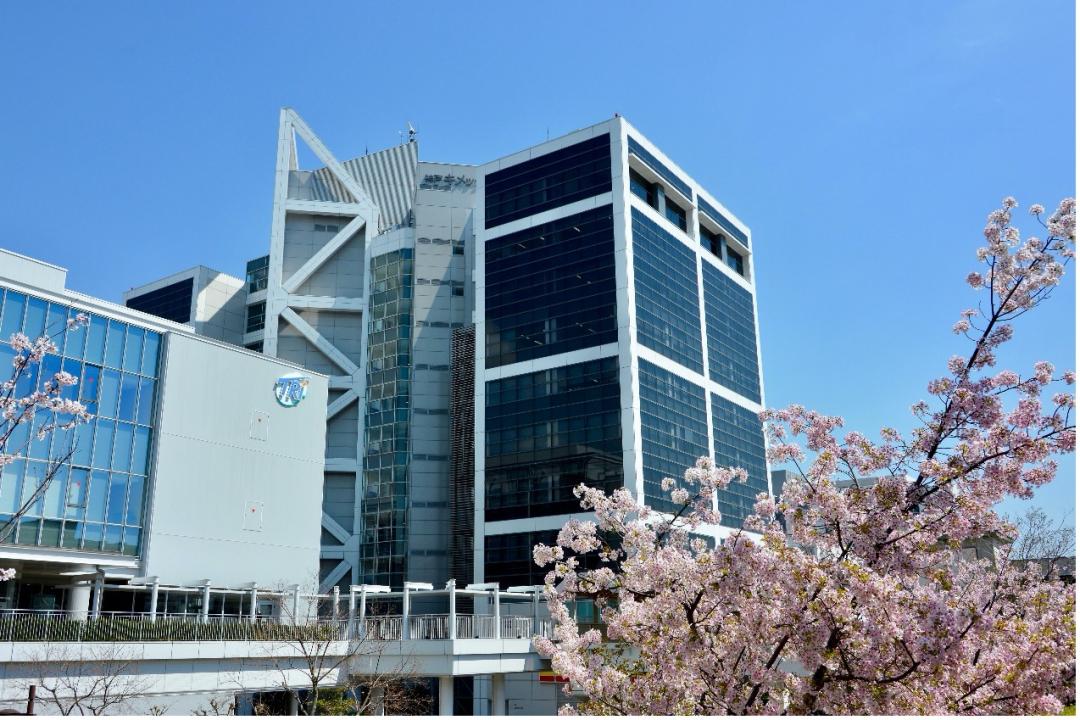 公司上市申请，一场心灵与自然的探索之旅