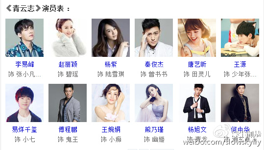 青云志电视剧演员表深度解析，角色与演员匹配度探究