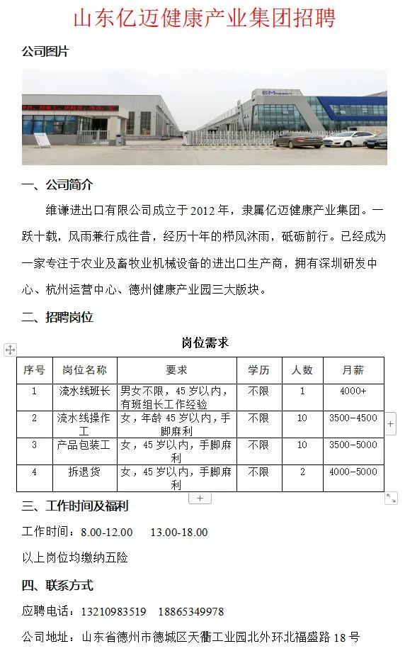 德州招聘信息更新，小城求职奇遇与友情纽带交织的故事