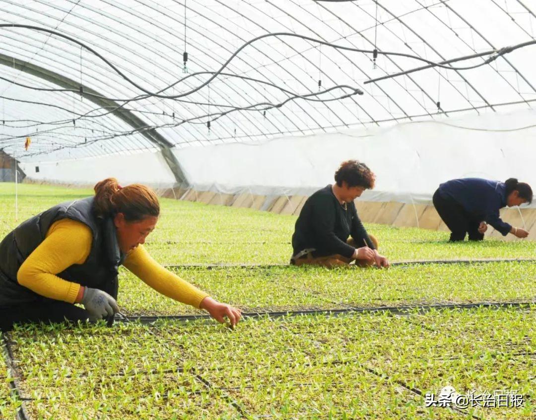 长治市公共租赁住房最新动态揭秘，温馨家园的故事进展更新