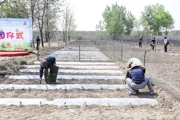 长治市公共租赁住房最新动态揭秘，温馨家园的故事进展更新