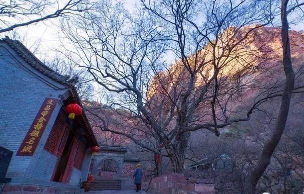 骑虎最新，自然美景的轻松探索之旅