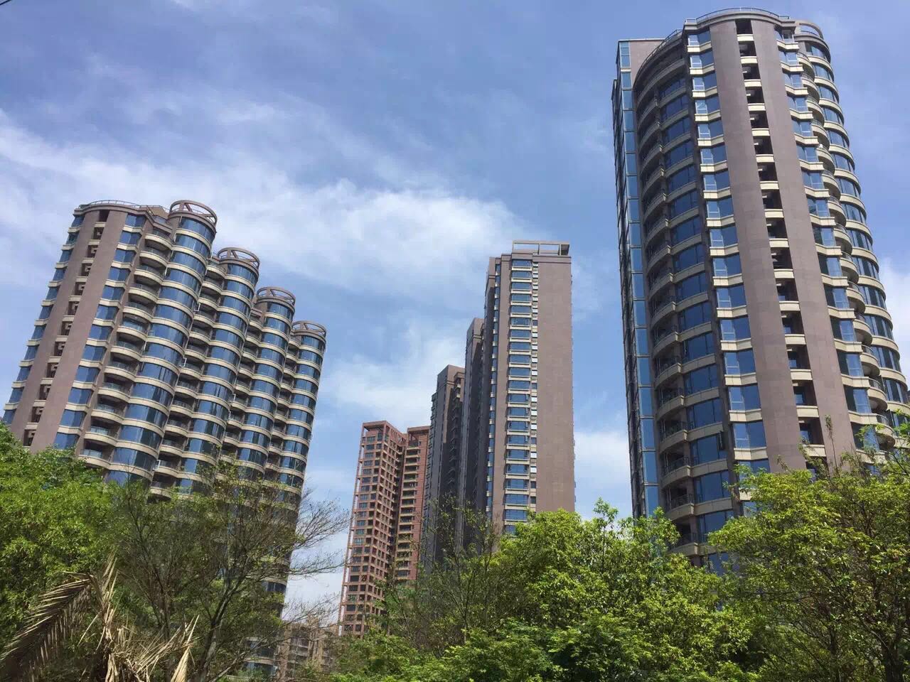 最新大观，回溯背景，探寻重要事件与时代地位