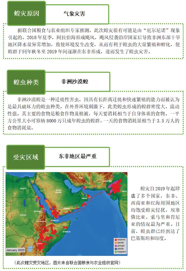 最新蝗情报告及编写指南