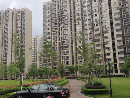 芦湾家园动态资讯，探索自然美景，启程寻找内心宁静之旅