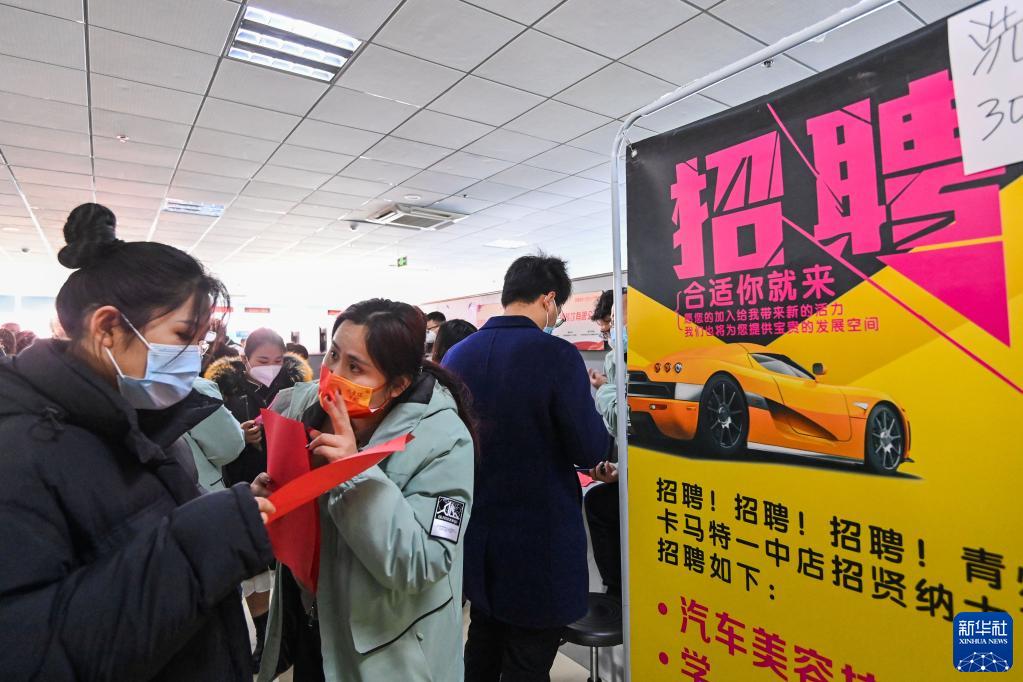 西昌市人才市场最新招聘信息及其奇妙之旅概览