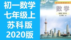毛选新视频解读，毛泽东思想的现代启示与深度探讨
