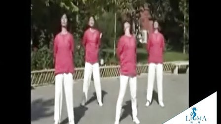 72式新版回春保健操,72式新版回春保健操，观点论述