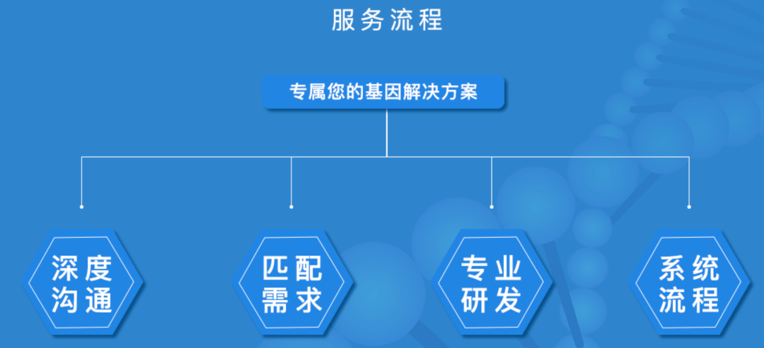 最新产品定制服务，学习变化，拥抱自信与成就之路